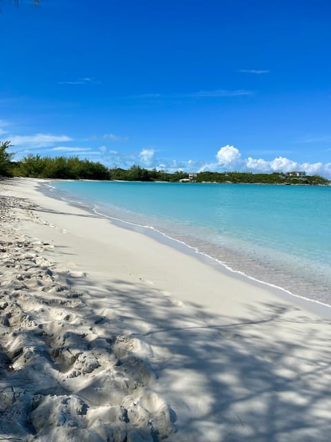 Beach | Beach nearby, sun loungers, beach towels