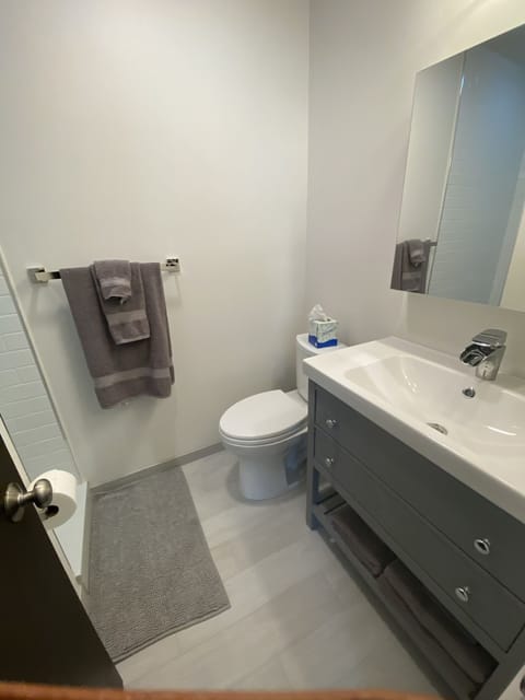 Combined shower/tub, hair dryer, towels