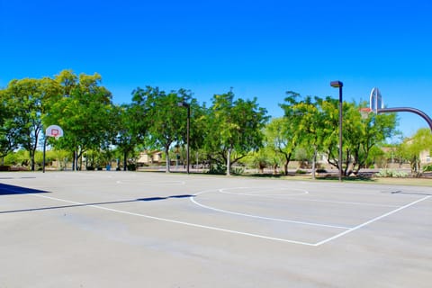 Sport court