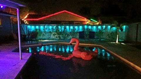 Hang out at night with Felix the Flamingo