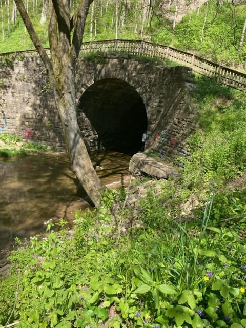 Creek and old bridge below 