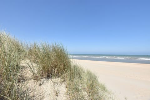 On the beach