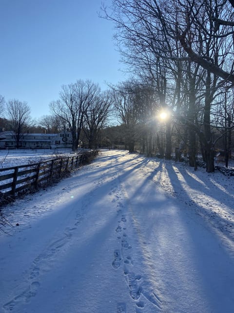 Snow and ski sports