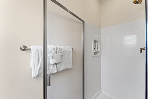 Combined shower/tub, hair dryer, towels