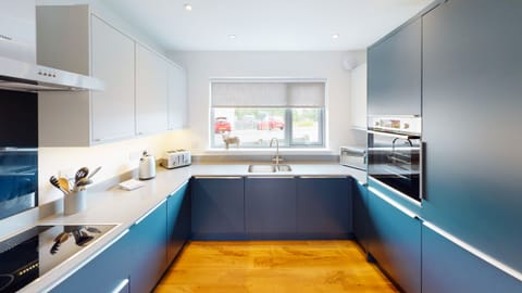 Modern kitchen at 31 Caledonia Place