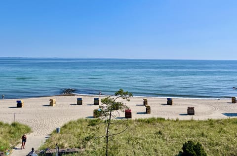 On the beach, sun loungers