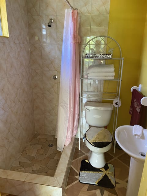 Combined shower/tub, towels, soap, toilet paper