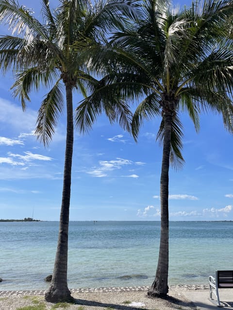 Beach nearby, sun loungers, beach towels