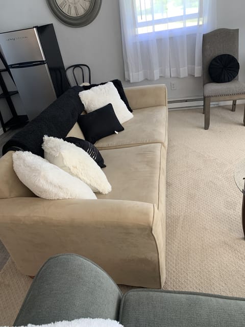 Pull out couch with comfy air mattress top