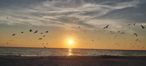 On the beach