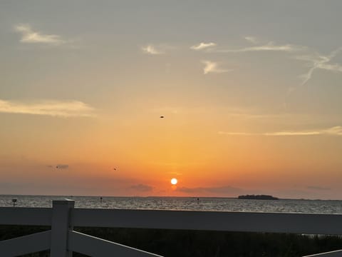 Beach/ocean view