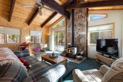 Dog-friendly mountain retreat with deck, woodstove & secluded location Cabin in Dorrington