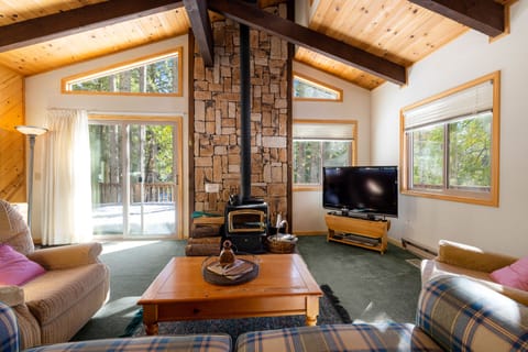 Dog-friendly mountain retreat with deck, woodstove & secluded location Cabane standard in Dorrington