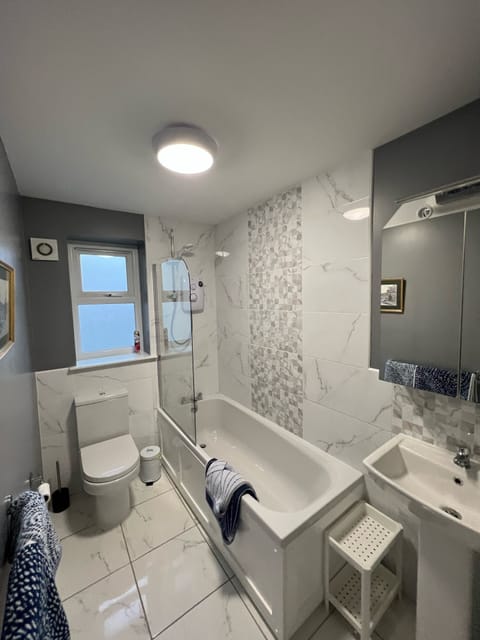 Combined shower/tub, hair dryer, towels, toilet paper