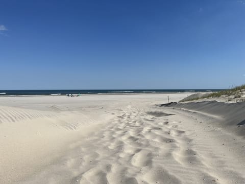 On the beach