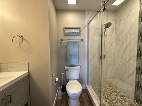 Combined shower/tub, hair dryer, soap, toilet paper