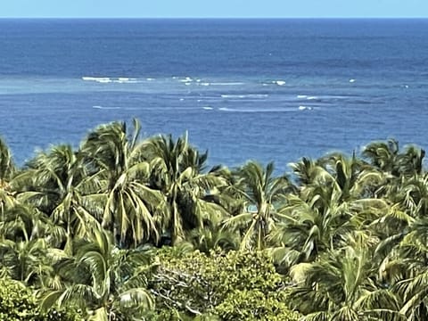 Beach nearby, sun loungers, beach towels