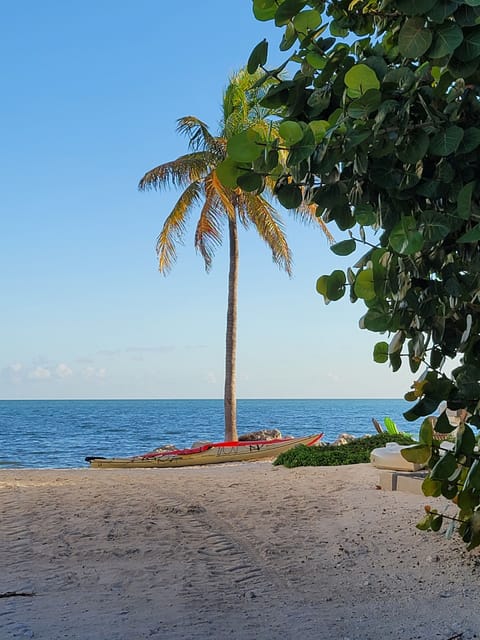 On the beach, sun loungers, beach towels