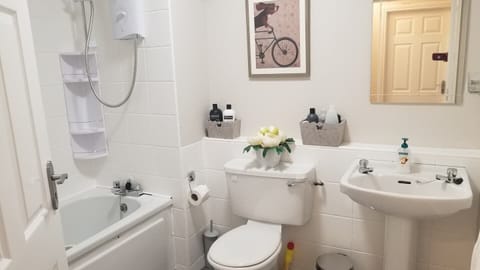 Combined shower/tub, hair dryer, towels, soap