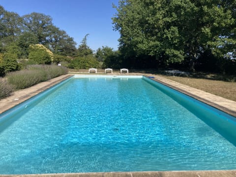 overview of the 16X6m pool