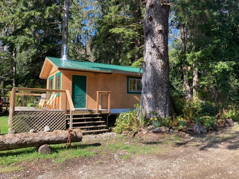 Quatsino Oceanfront Guest Cabin
