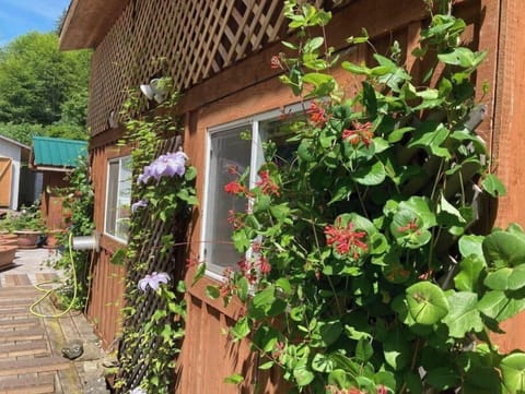 flowers at the "big house"