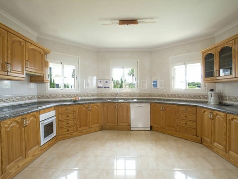 Countertop, Tap, Cabinetry, Sink, Plumbing Fixture, Kitchen Sink, Houseplant, Furniture, Kitchen, Wood