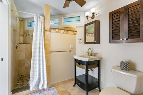 Bathtub, jetted tub, hair dryer, towels