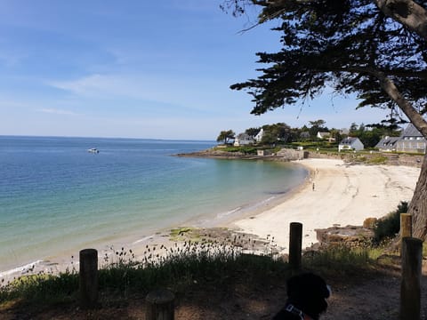 Beach nearby, sun loungers