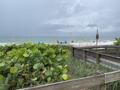 Beach nearby, sun loungers, beach towels