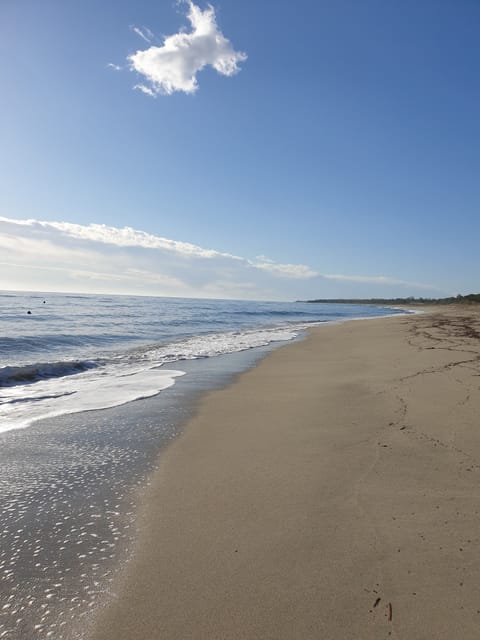 On the beach