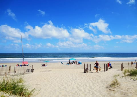 On the beach, sun loungers, beach towels