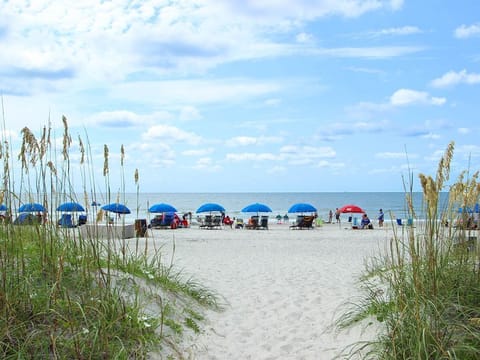 On the beach