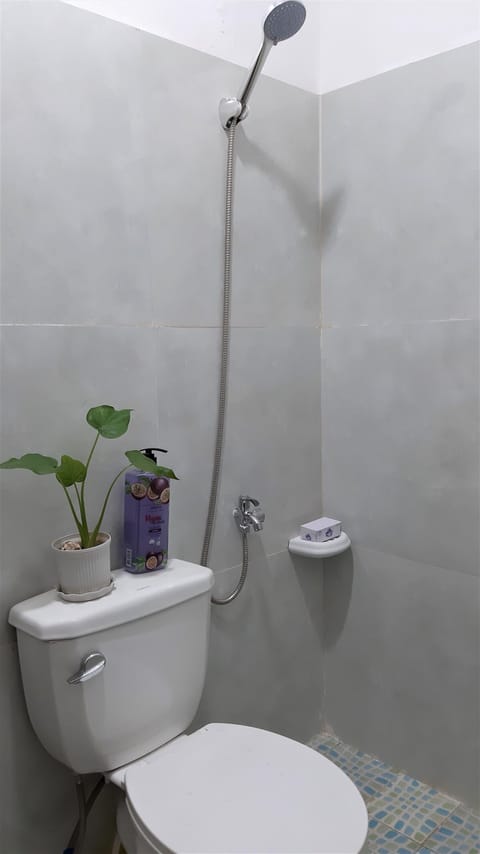 Combined shower/tub, bidet, shampoo