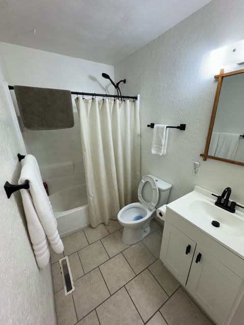 Combined shower/tub, hair dryer, towels, soap