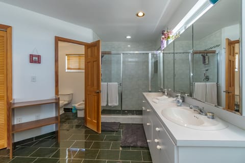 Combined shower/tub, bidet, towels