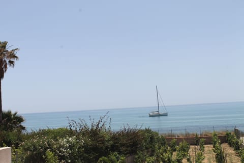 On the beach, sun loungers