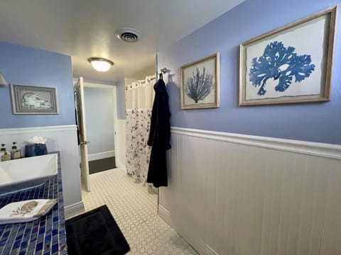 Combined shower/tub, hair dryer, towels, soap