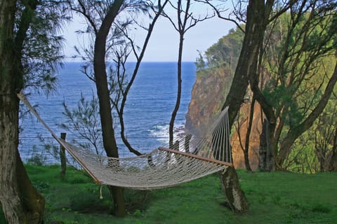 hammock at our private cove