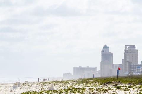 On the beach