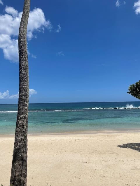 Beach nearby, sun loungers, beach towels