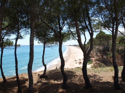 Beach nearby, sun loungers