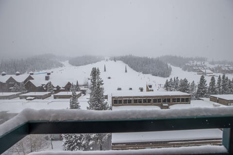 Wintery views | Exterior