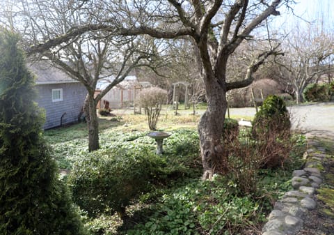 Garden area outside studio.