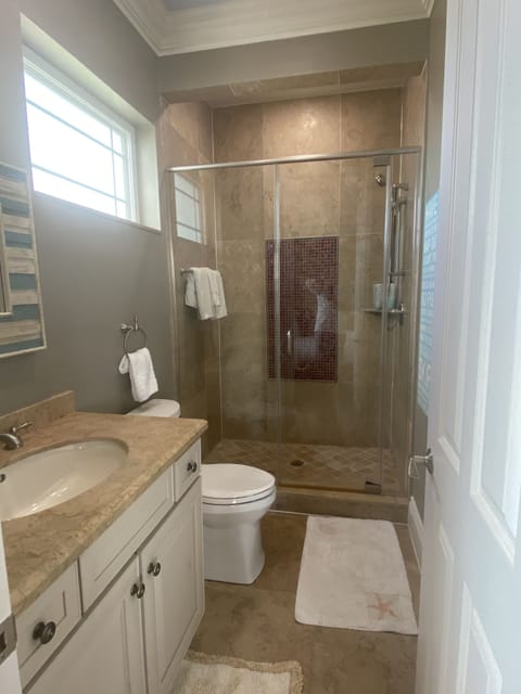 Shower, jetted tub, hair dryer, towels