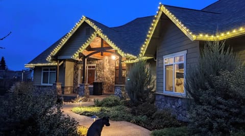 Lit up for the holidays
