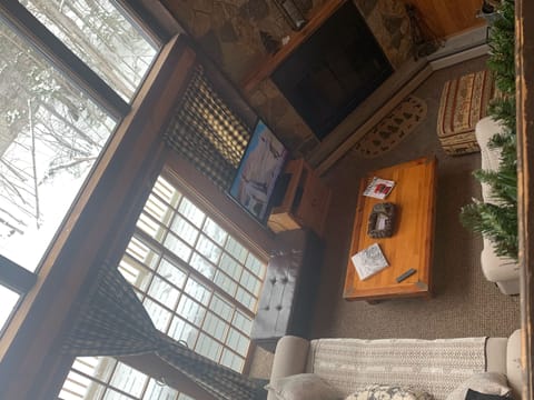 TV, fireplace, DVD player, books