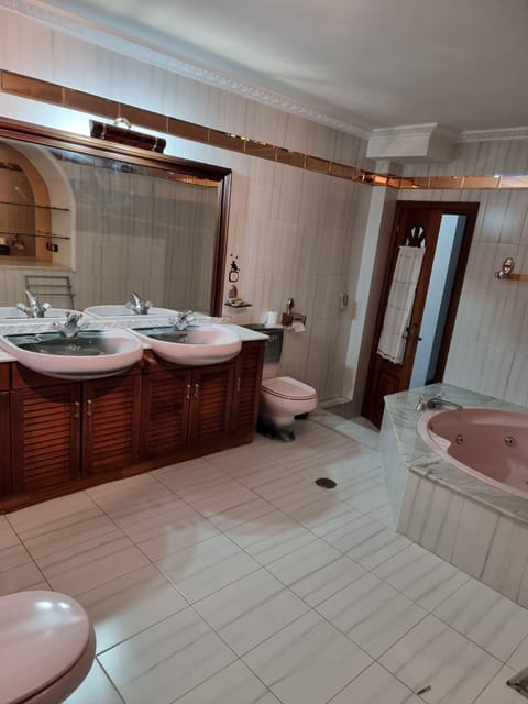 Combined shower/tub, jetted tub, hair dryer, bidet