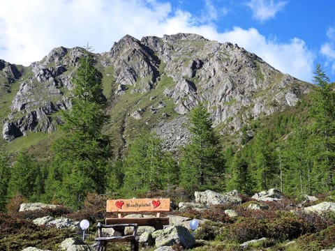 Surroundings [summer] (1-5 km)