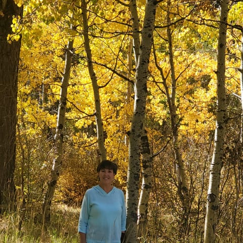 Picture of grounds in the fall.